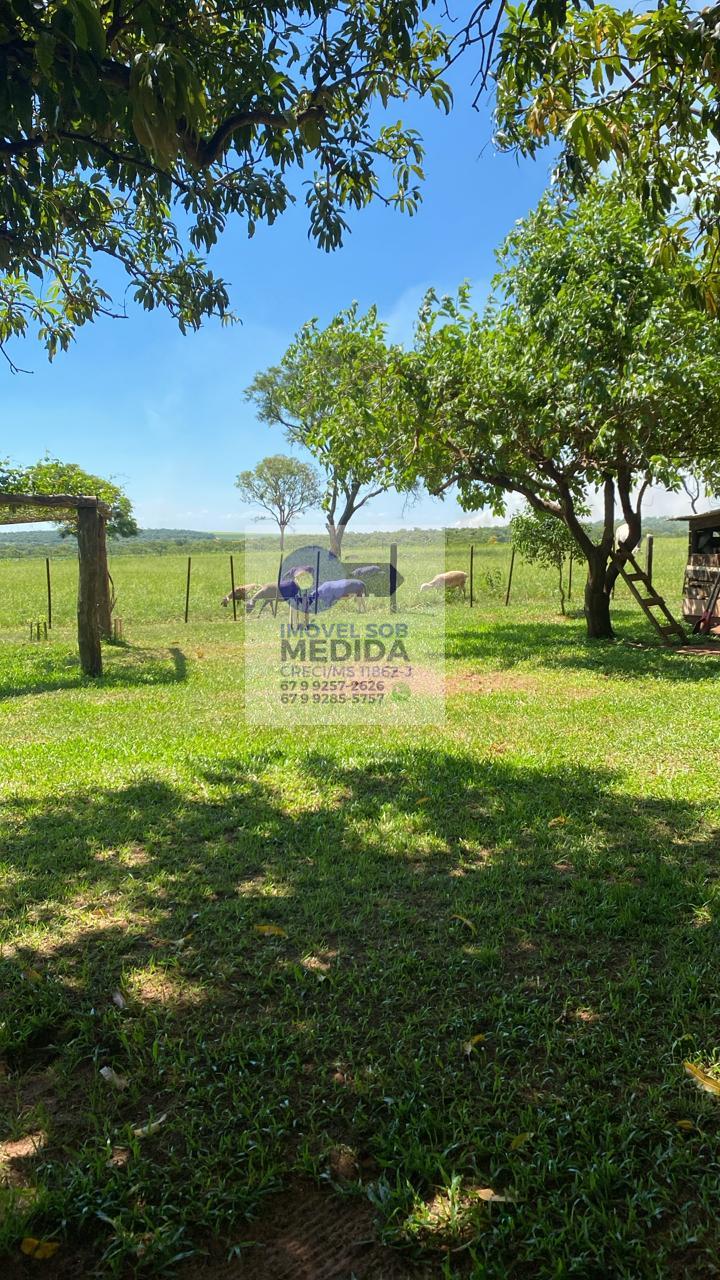  - Fazenda 179 hectares Coronel Sapucaia