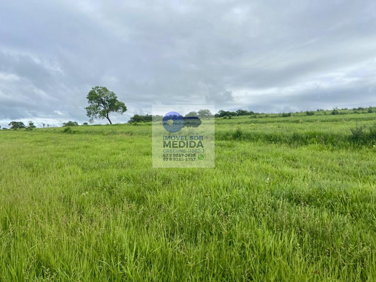 Fazenda à venda - ,Camapuã