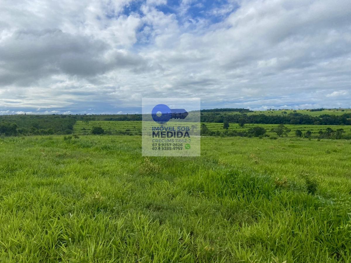 Fazenda à venda - ,Camapuã