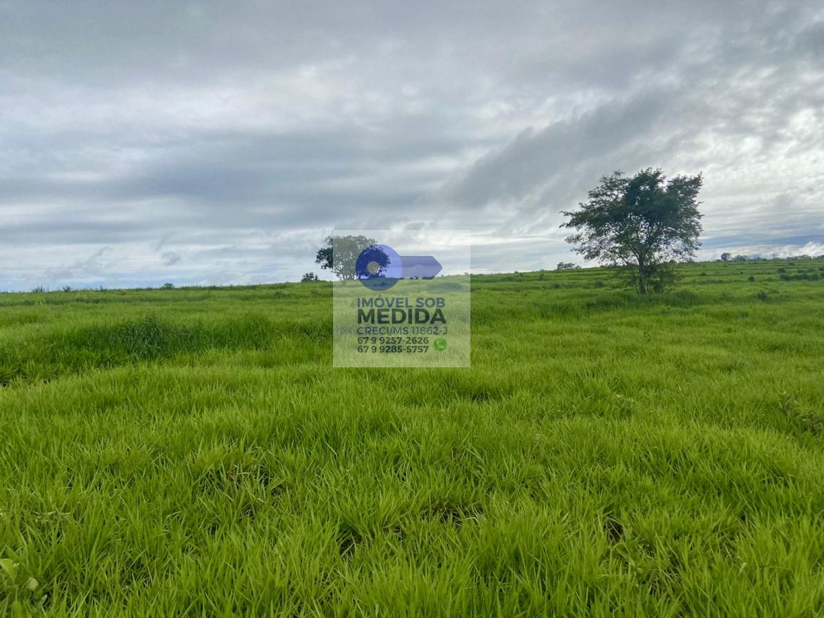 Fazenda à venda - ,Camapuã