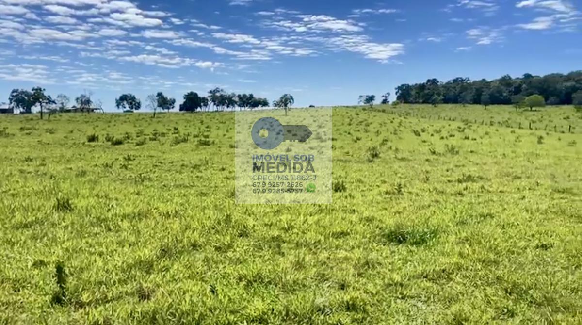  - Fazenda 184 hectares Camapuã