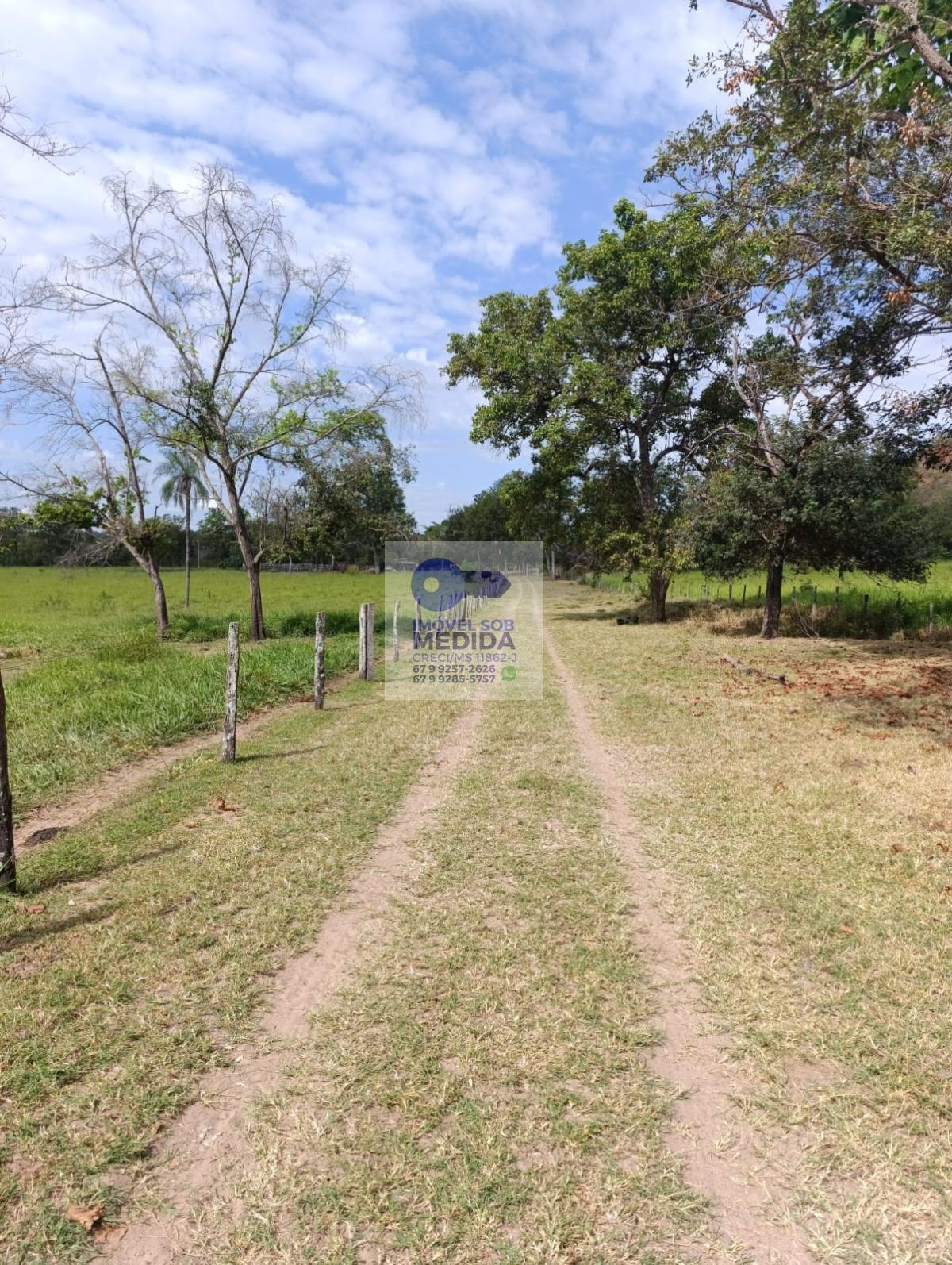 Fazenda à venda - ,São Gabriel do Oeste