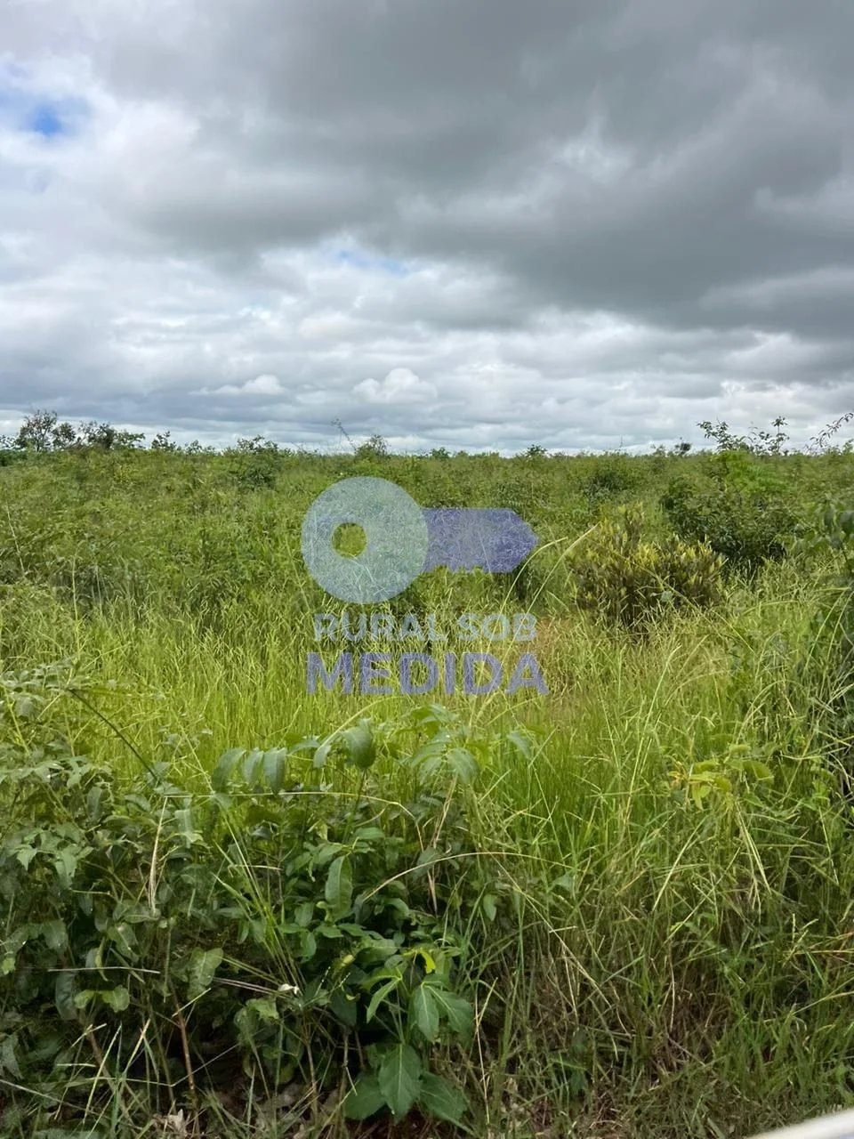  - Fazenda 200 ha Dois Irmãos do Buriti