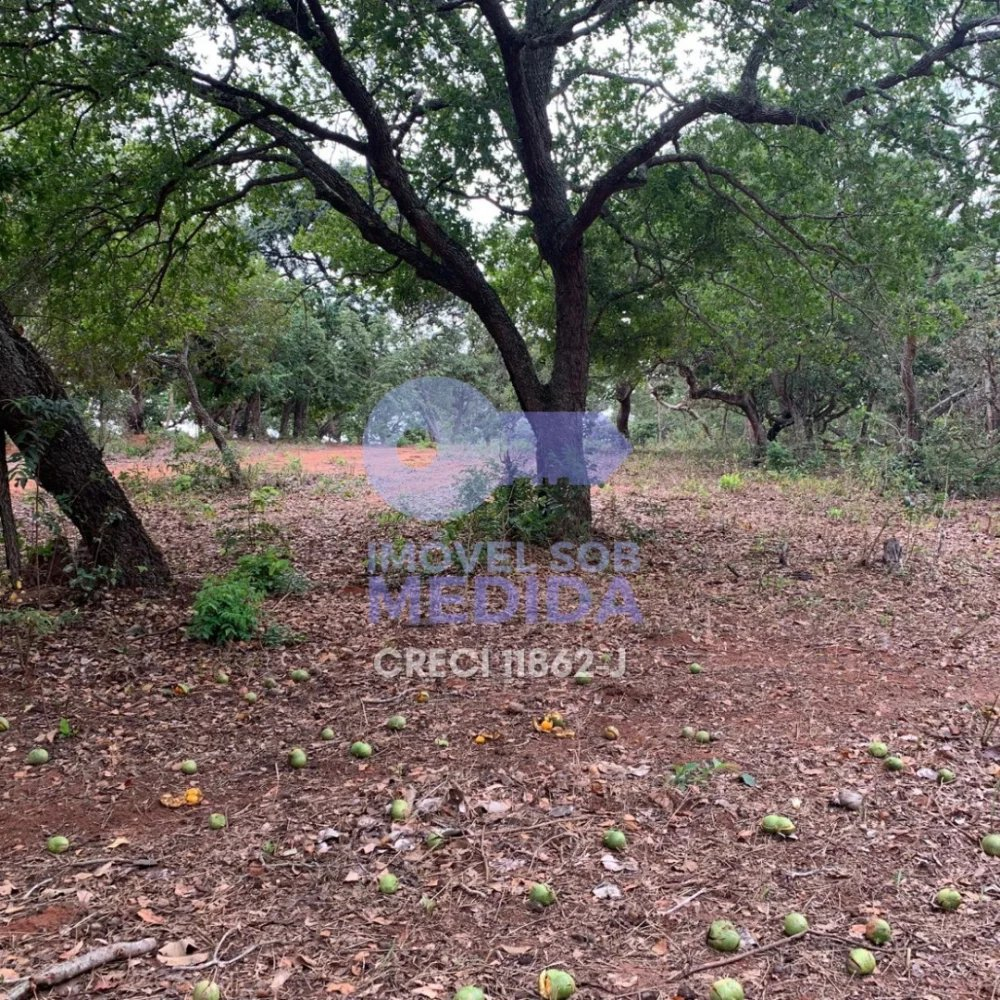 Fazenda à venda - ,Corguinho