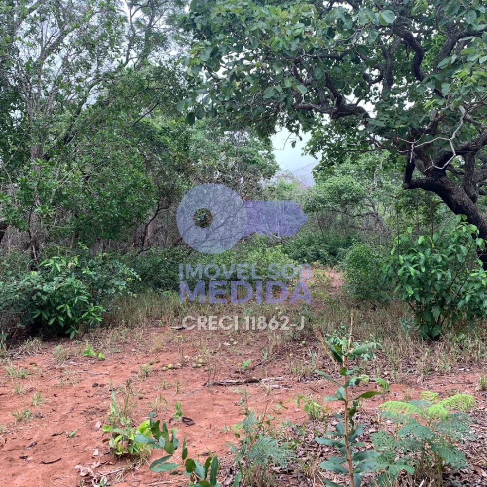  - Fazenda 226 ha Corguinho MS