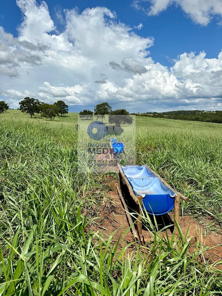 Fazenda à venda - ,Camapuã