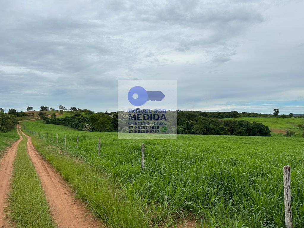 Fazenda à venda - ,Camapuã