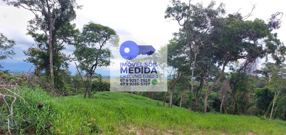 Fazenda à venda - ,Camapuã