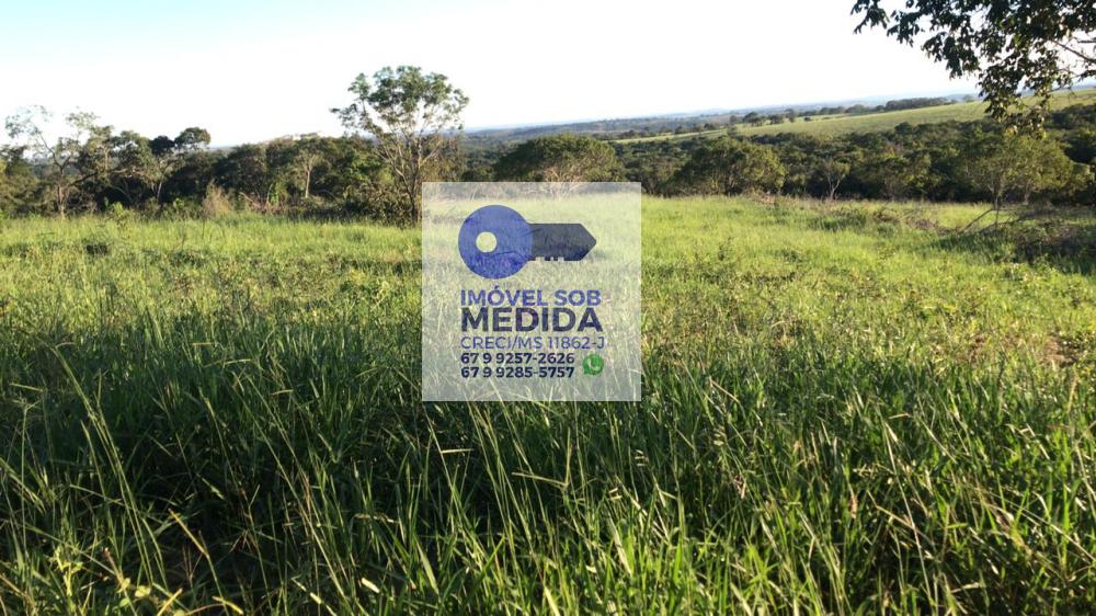 Fazenda à venda - ,Camapuã