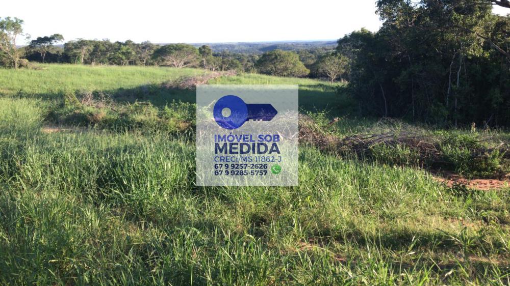  - Fazenda 250 hectares Camapuã