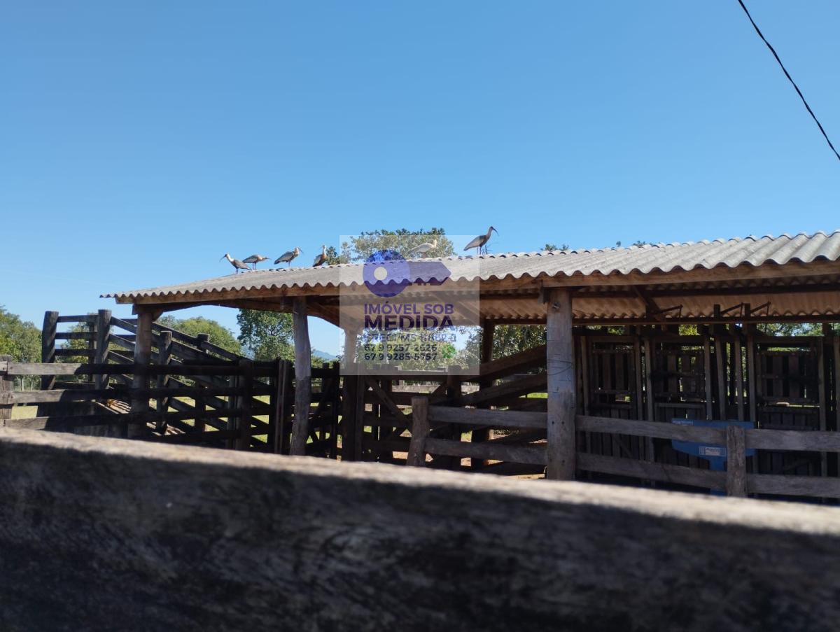 Fazenda à venda - ,Coxim