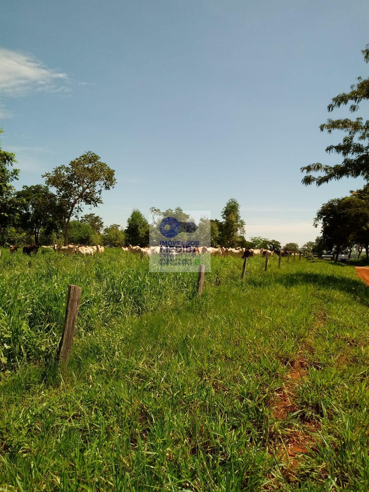 Fazenda à venda - ,Coxim