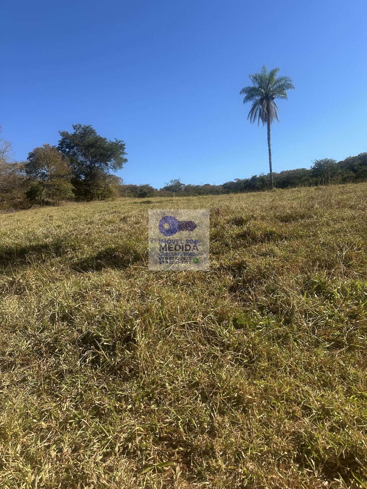 Fazenda à venda - ,Camapuã