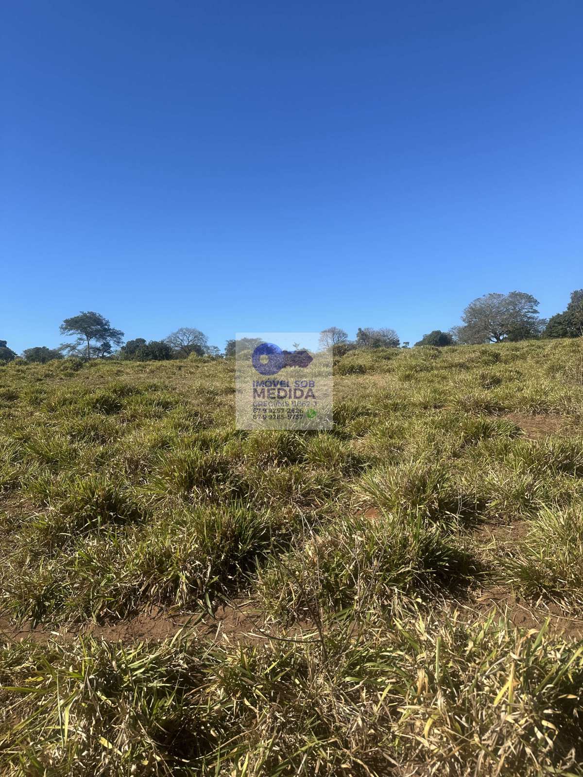 Fazenda à venda - ,Camapuã
