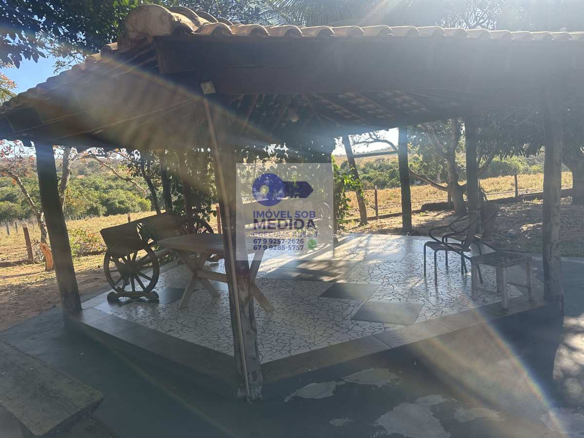  - Fazenda 267 hectares - Camapuã MS