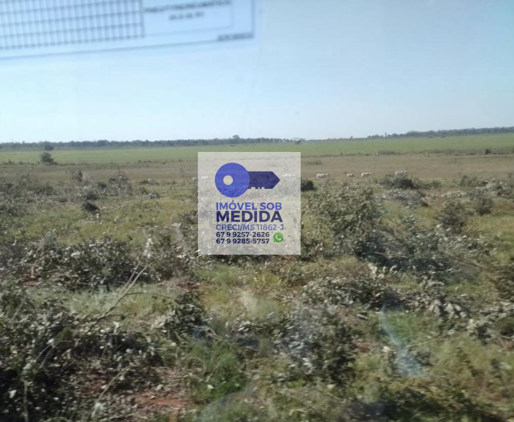  - Fazenda 350 ha Dois Irmãos do Buriti - DUPLA APTIDÃO