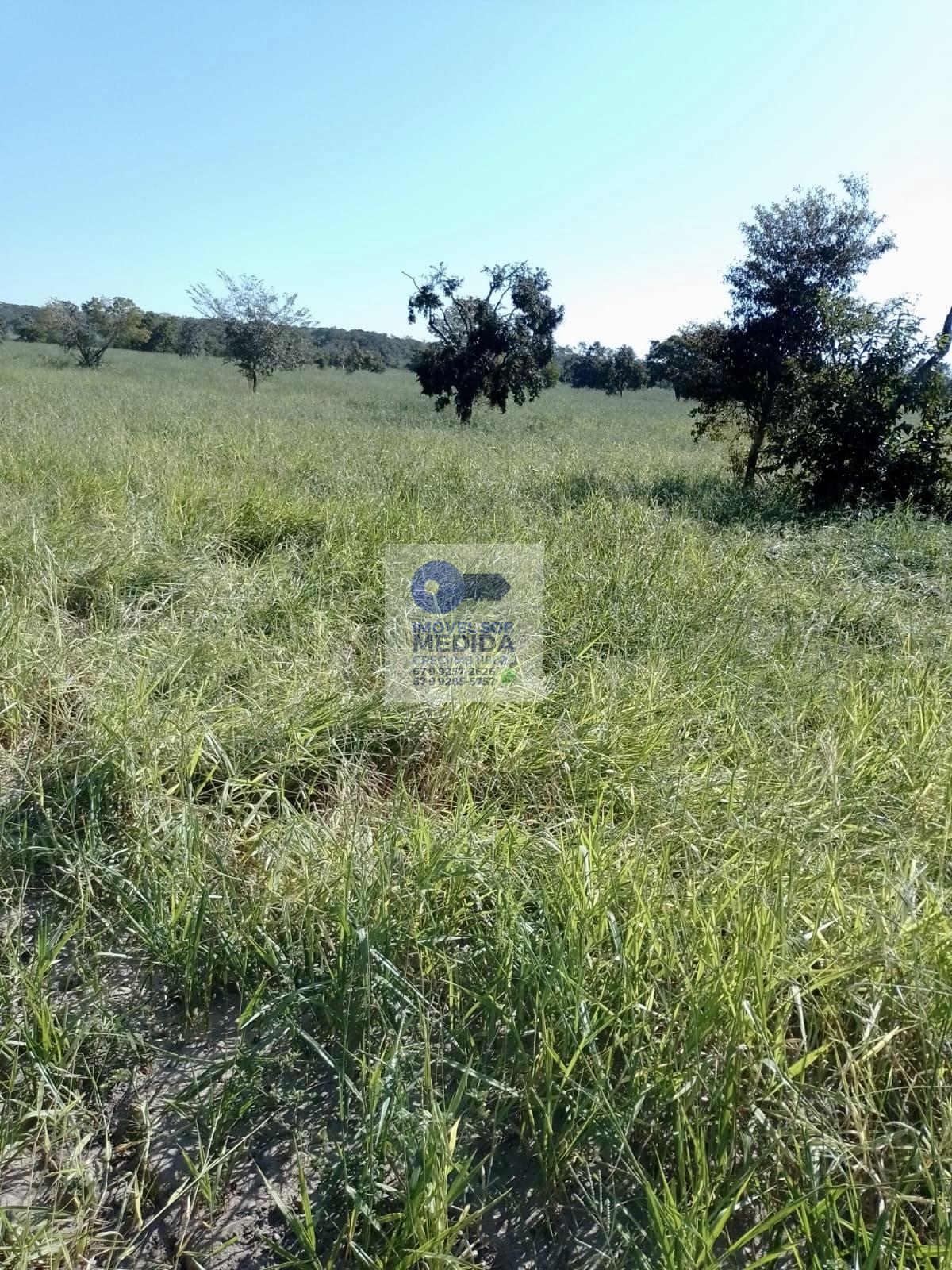 Fazenda à venda - ,Corguinho