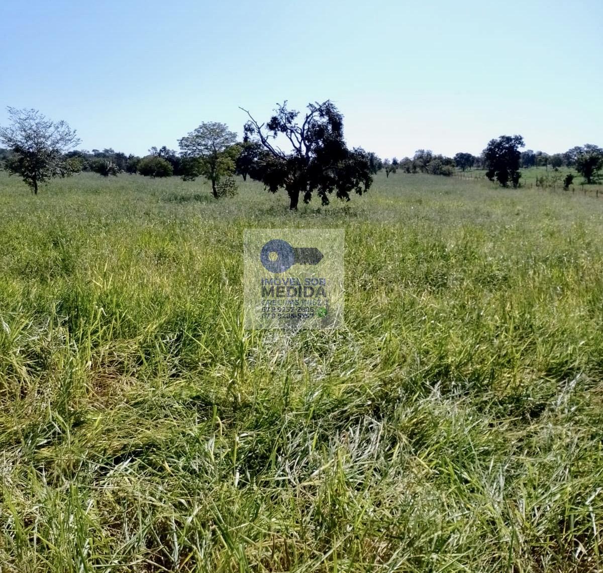  - Fazenda 277 ha Corguinho