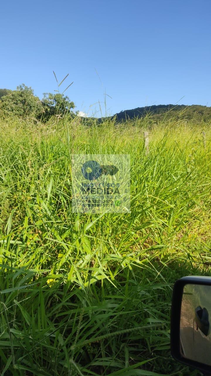 Fazenda à venda - ,Rio Negro