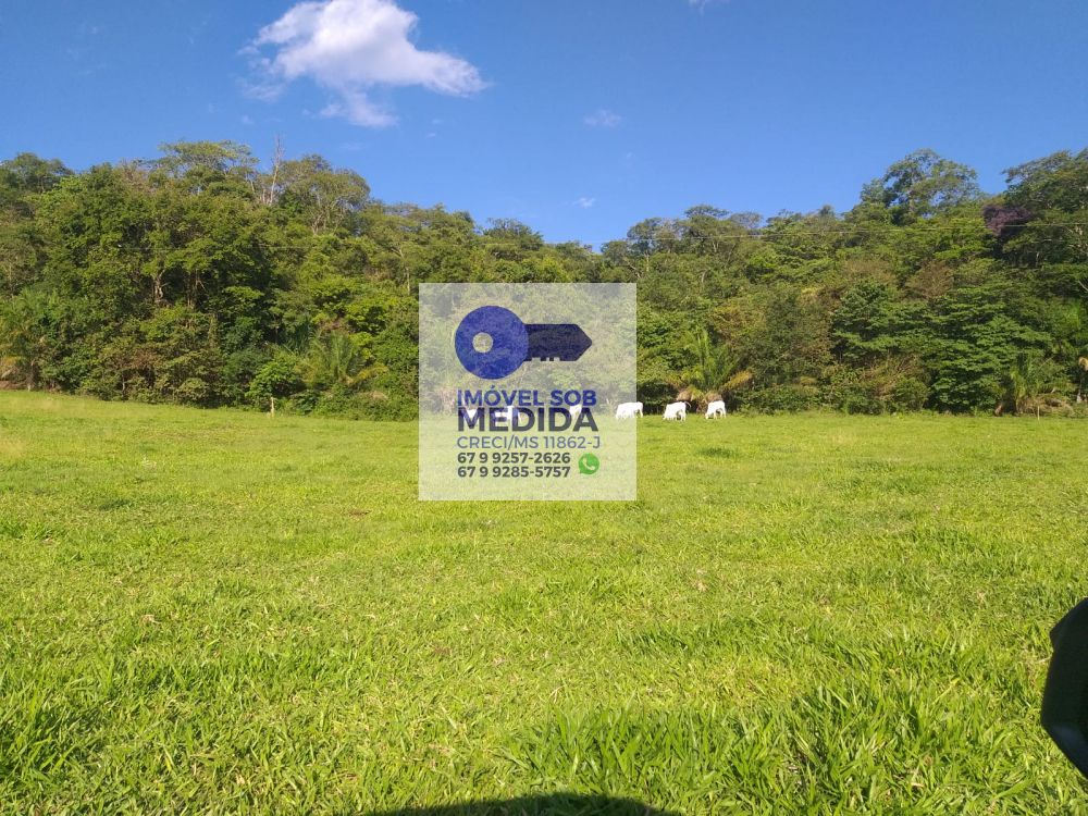 Fazenda à venda - ,Camapuã