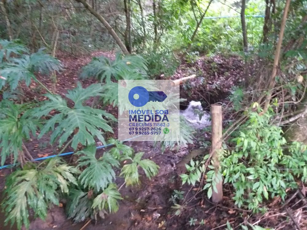 Fazenda à venda - ,Camapuã