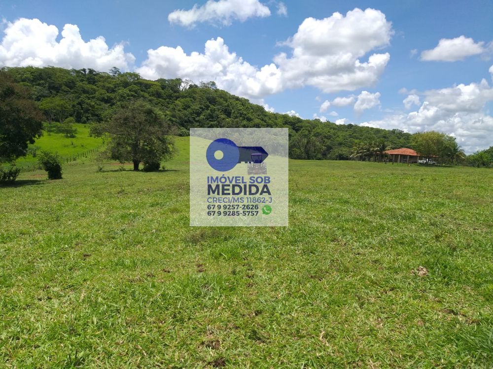 Fazenda à venda - ,Camapuã