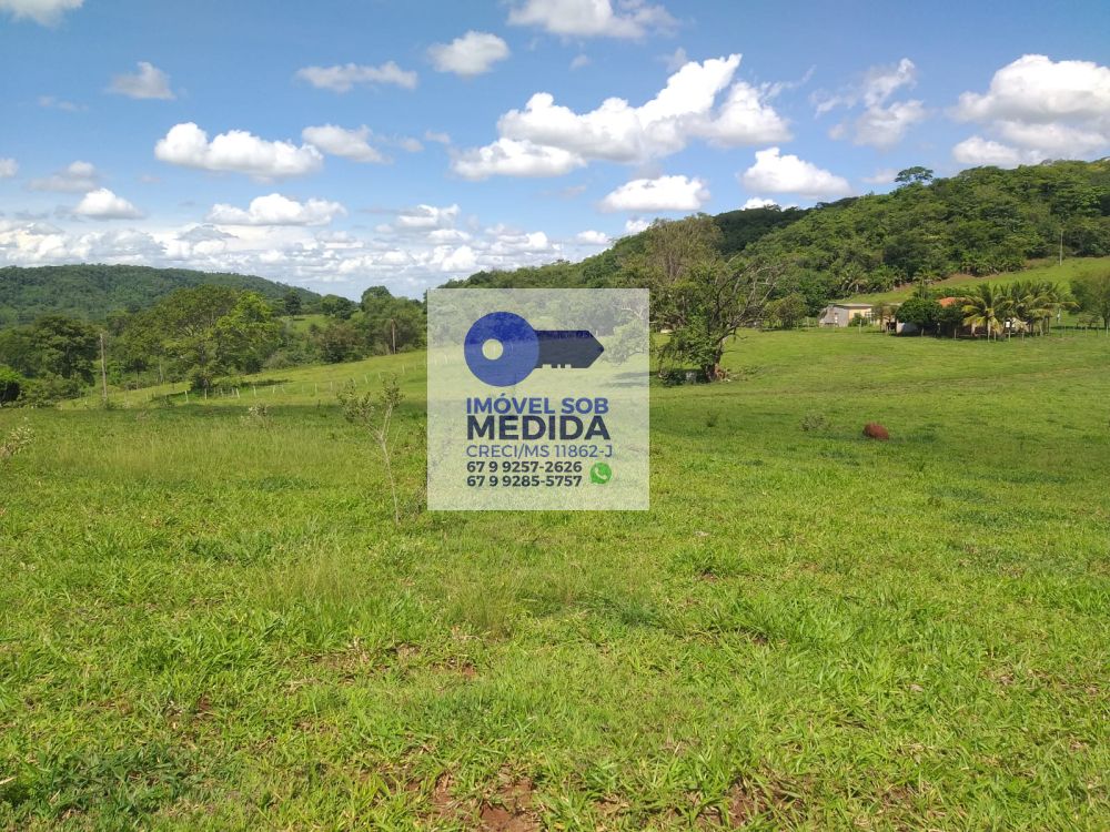 - Fazenda 317 ha Camapuã