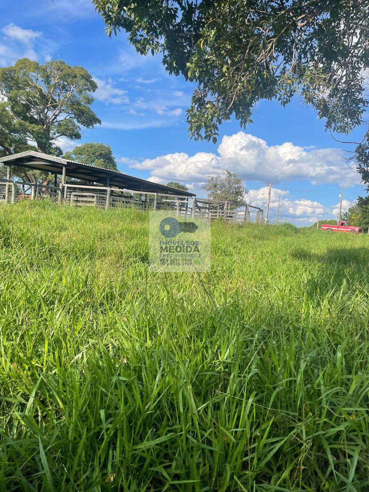  - Fazenda 350 hectares - Camapuã MS