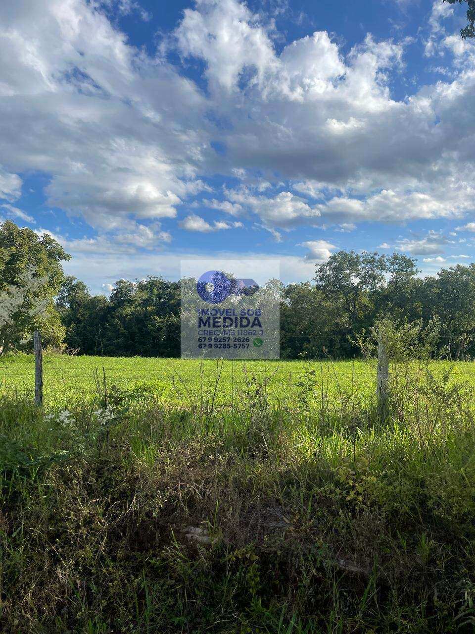 Fazenda à venda - ,Camapuã