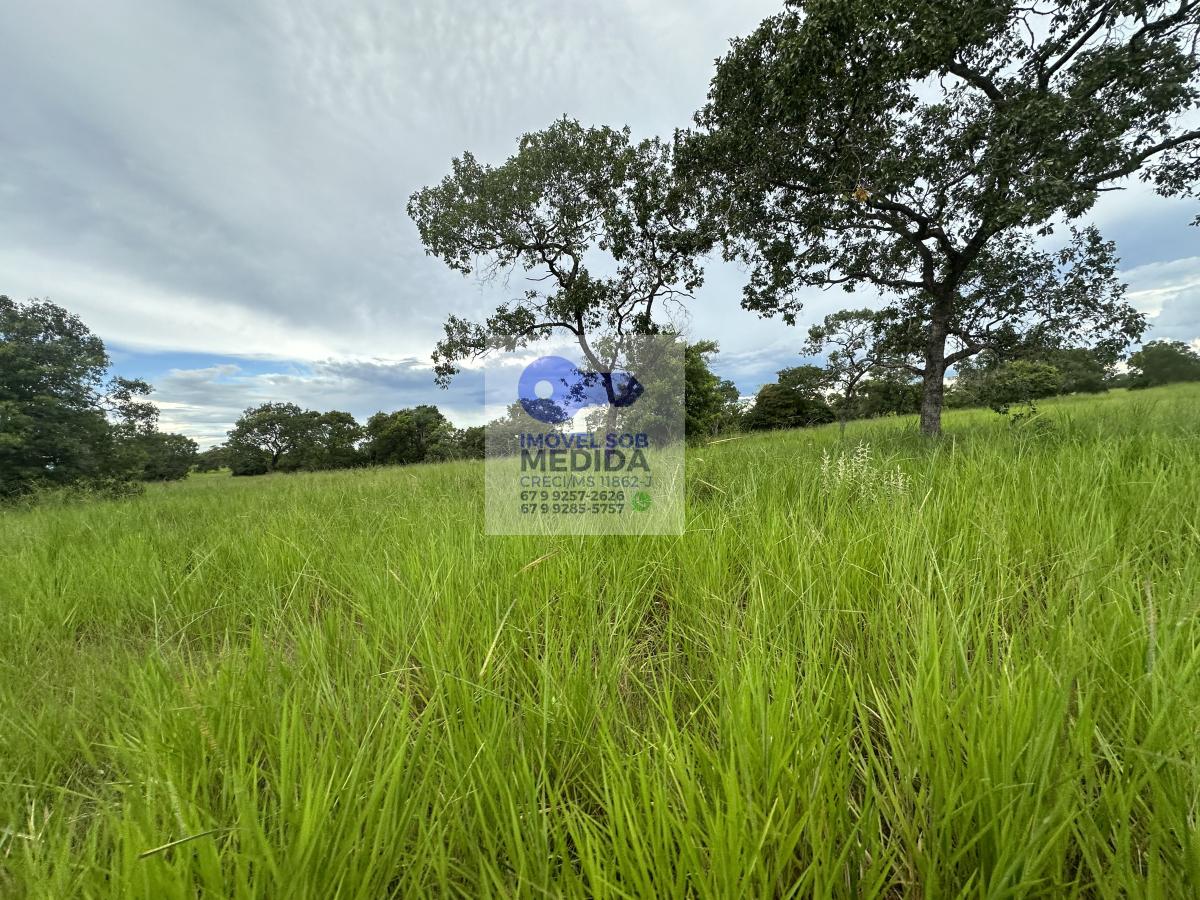 Fazenda à venda - ,Camapuã
