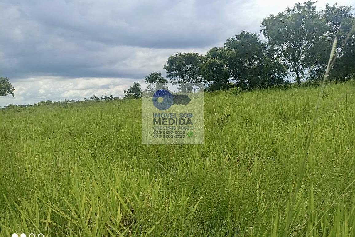 Fazenda à venda - ,Camapuã