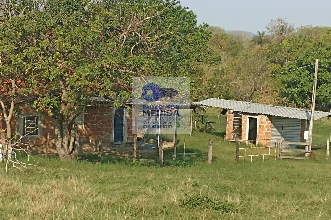  - Fazenda 350 hectares Camapuã OPORTUNIDADE