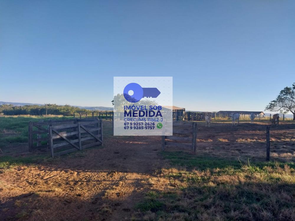 Fazenda à venda - ,Alto Araguaia