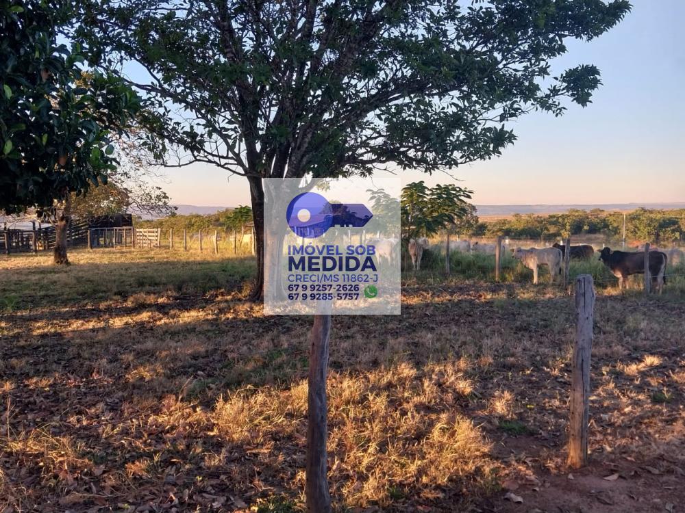  - Fazenda 355 hectares Alto Araguaia