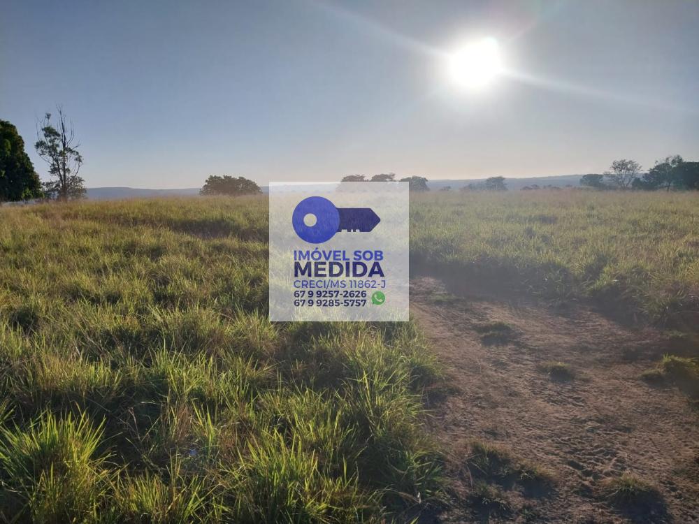 Fazenda à venda - ,Alto Araguaia