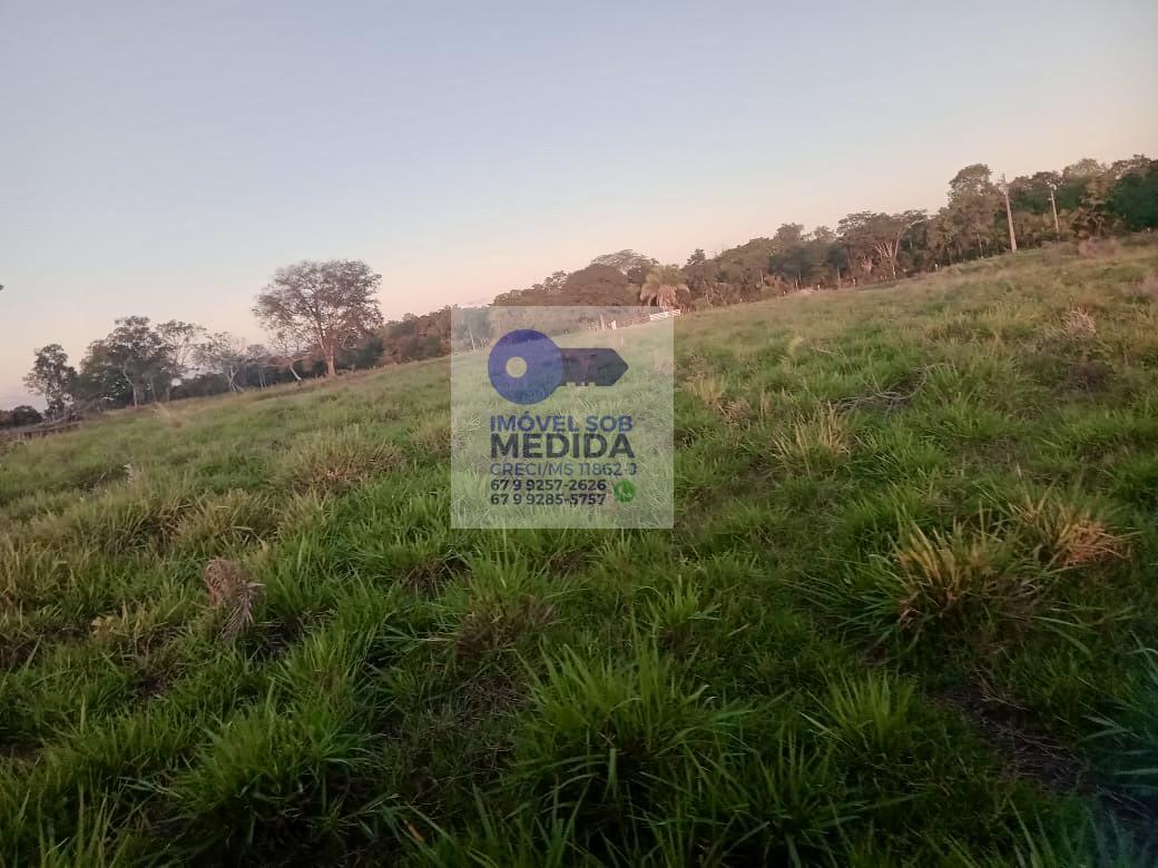 Fazenda à venda - ,Aquidauana