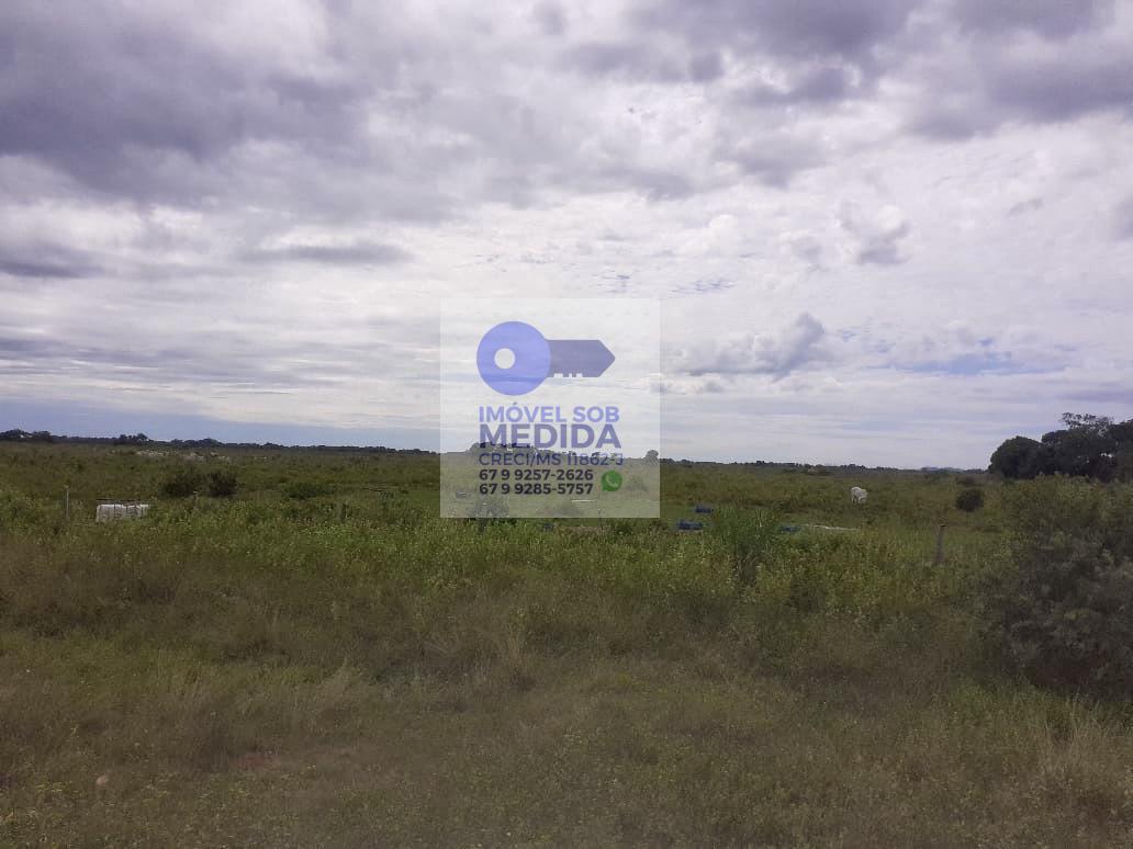  - Fazenda 4450 hectares Pantanal Nabileque