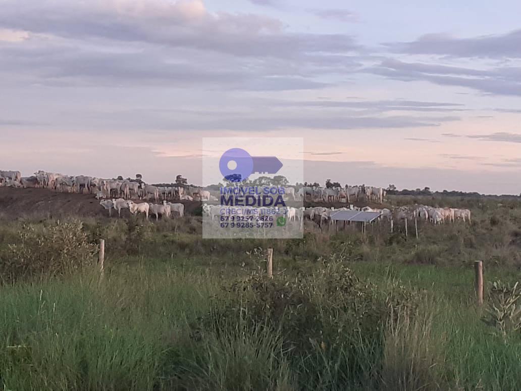 Fazenda à venda - ,Corumbá