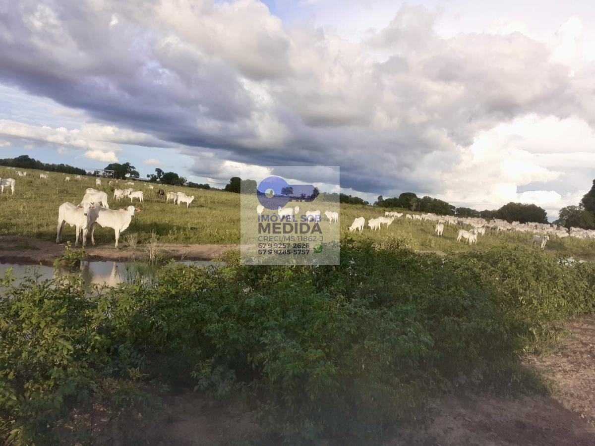Fazenda à venda - ,Corumbá