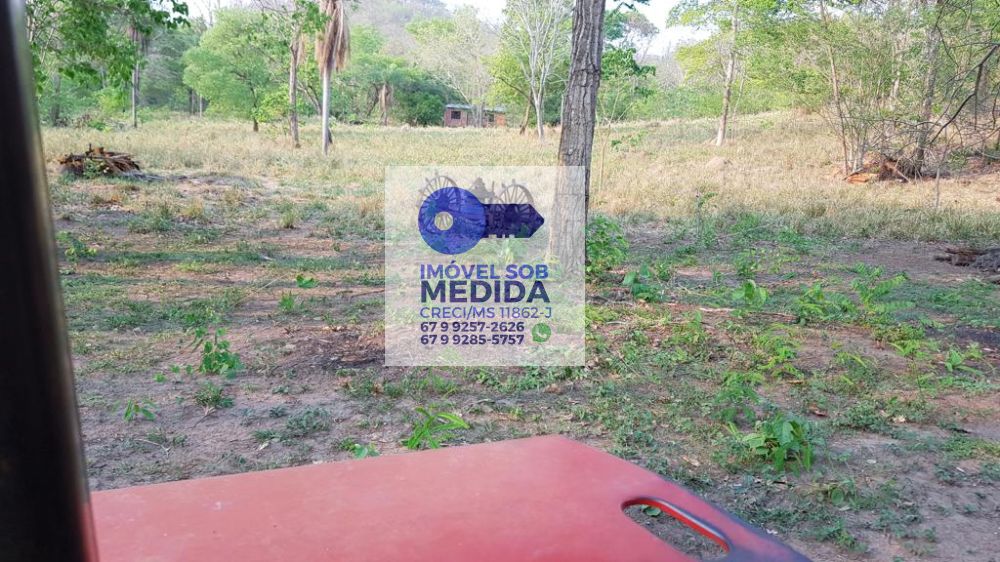  - Fazenda 446 ha Rio Negro MS