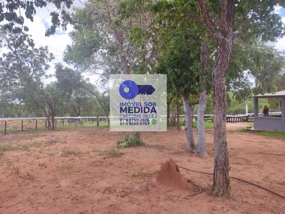 Fazenda à venda - ,São Gabriel do Oeste