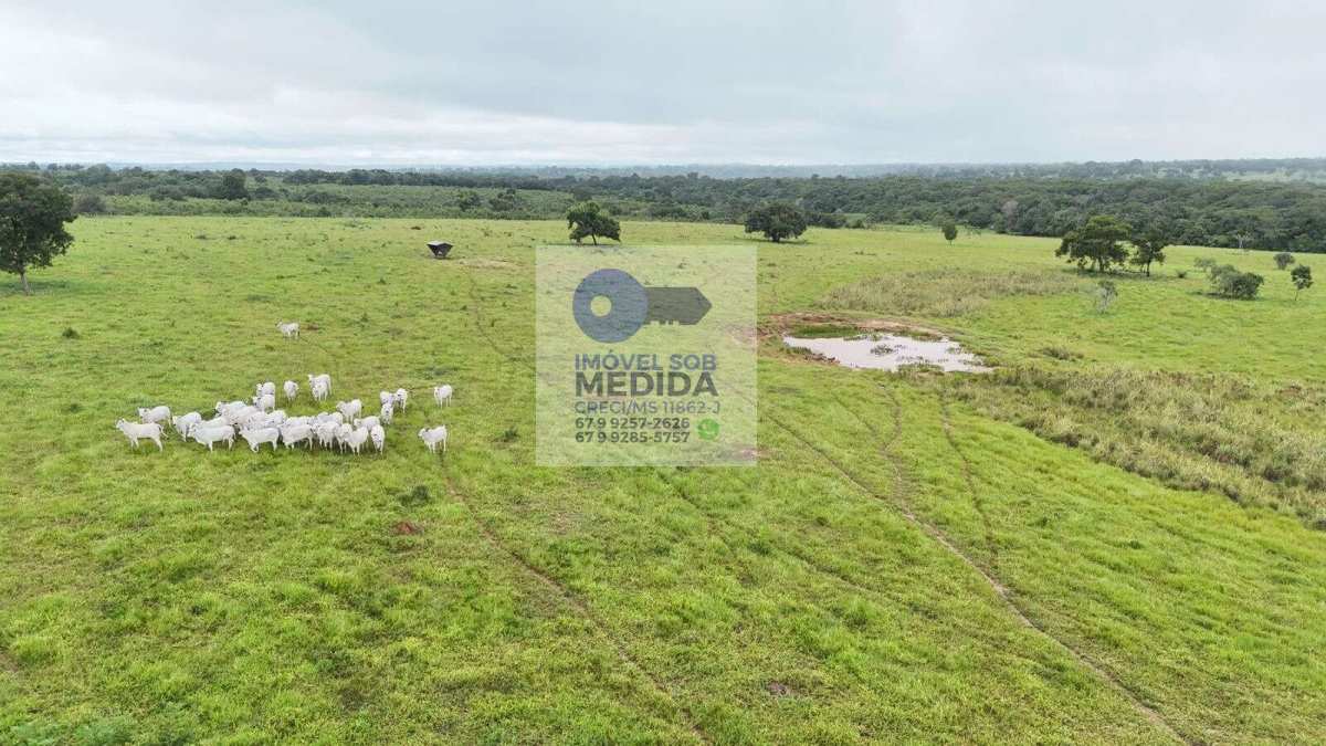 Fazenda à venda - ,Aquidauana