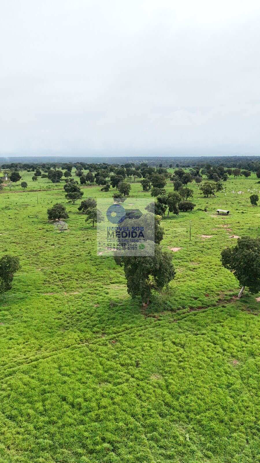 Fazenda à venda - ,Aquidauana