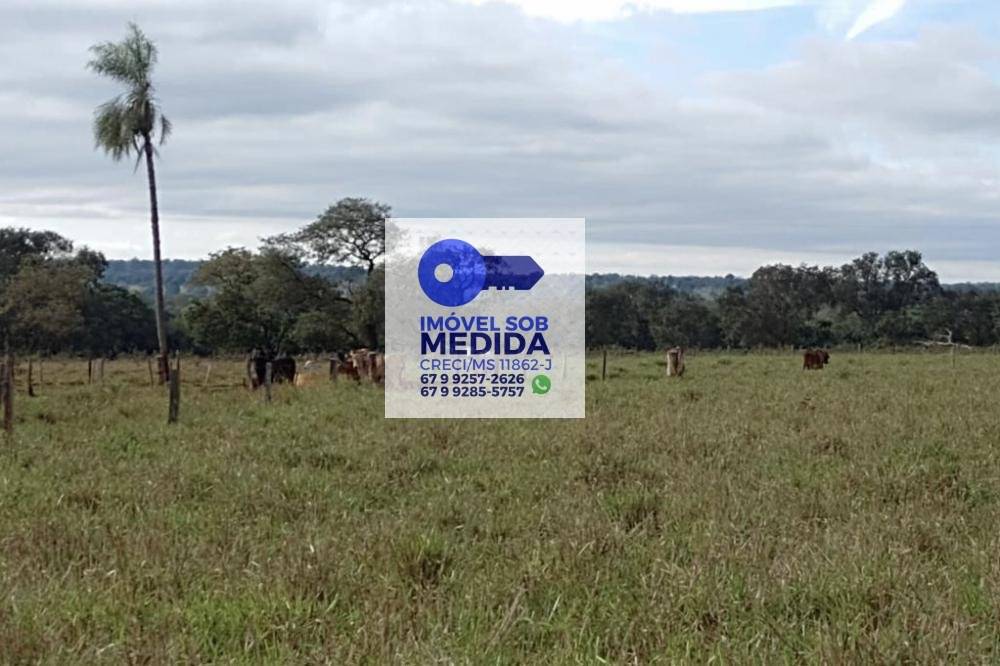 Fazenda à venda - ,Dois Irmãos do Buriti