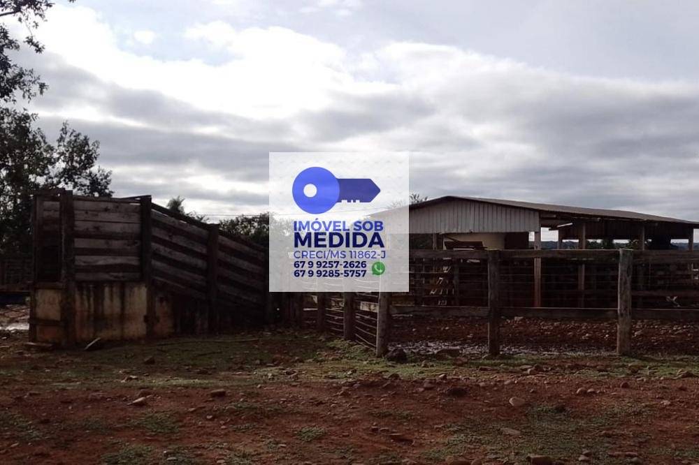  - Fazenda 550 hectares Dupla Aptidão - DOIS IRMÃOS DO BURITI MS