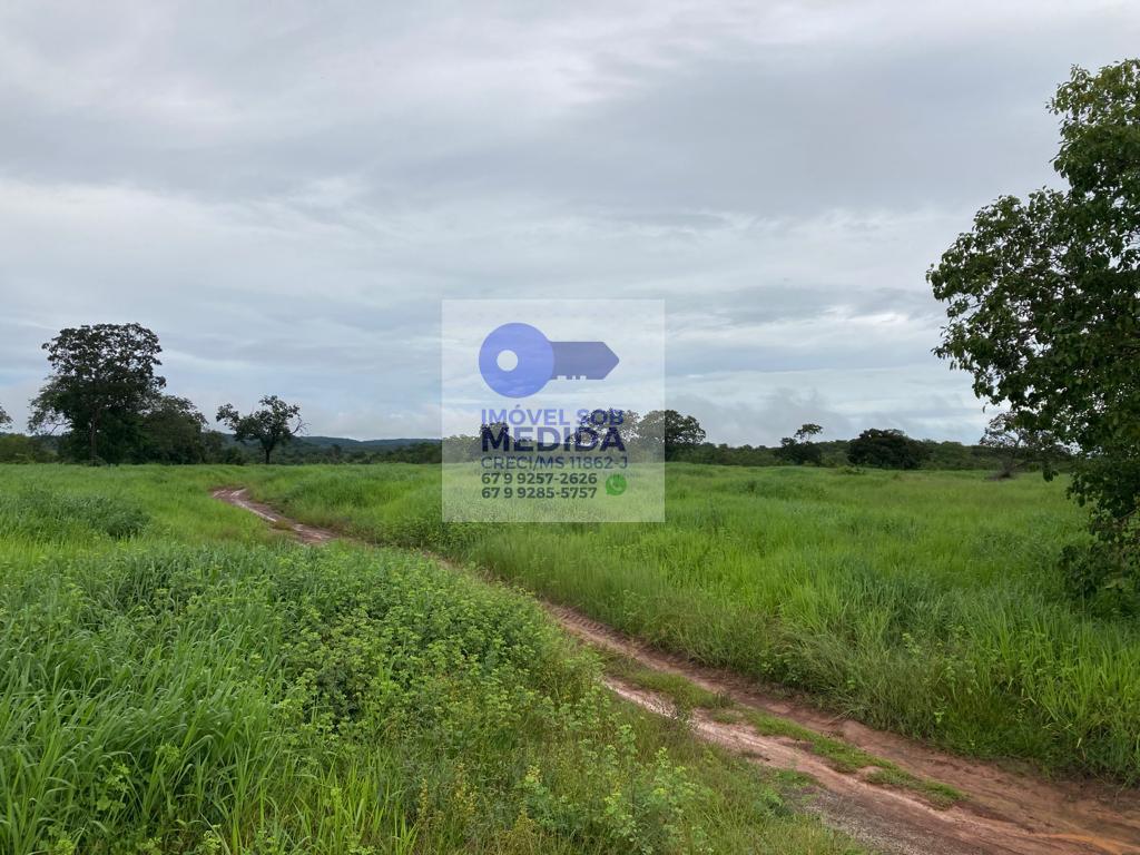  - Fazenda 551 ha Pecuária Rica em Água