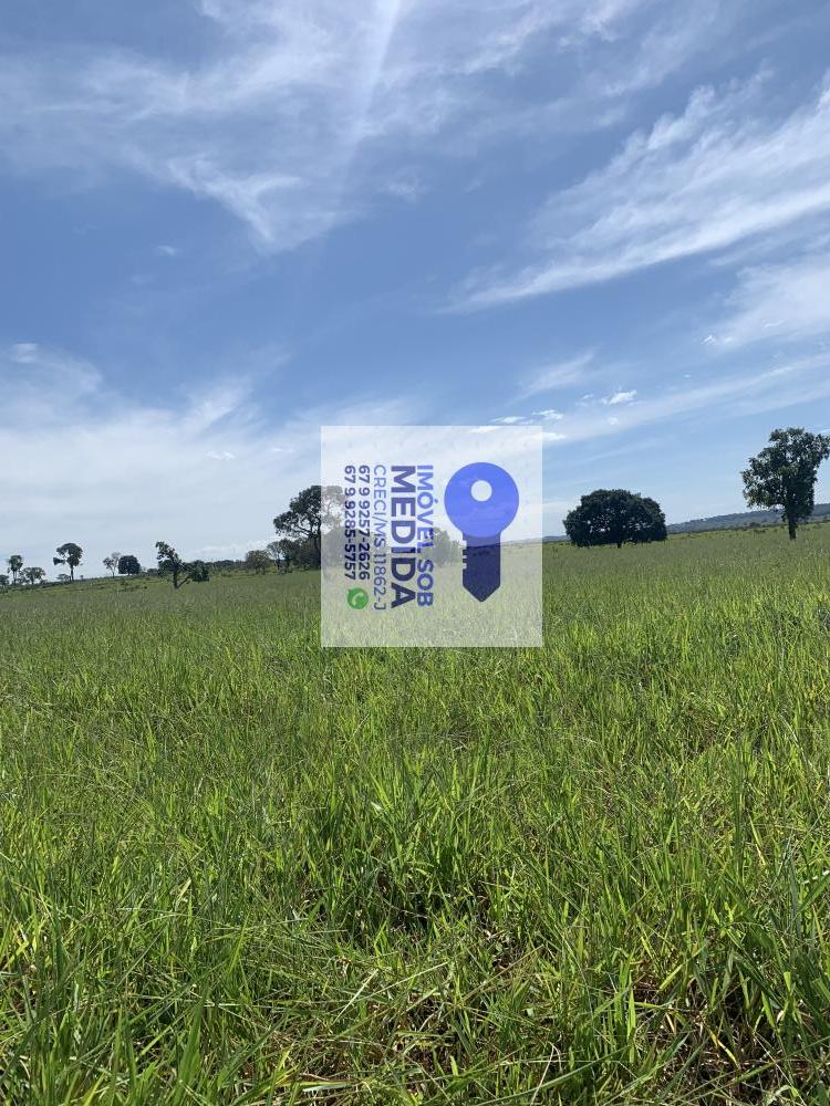  - Fazenda 551 hectares Corguinho