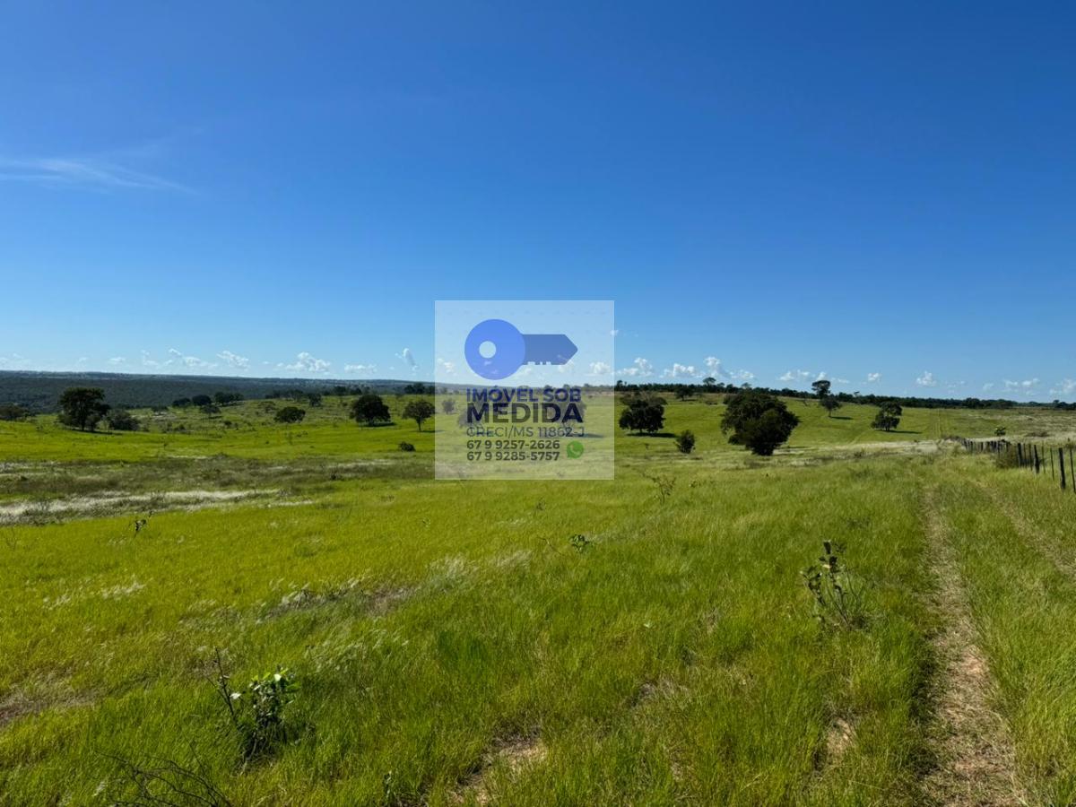 Fazenda à venda - ,Figueirão