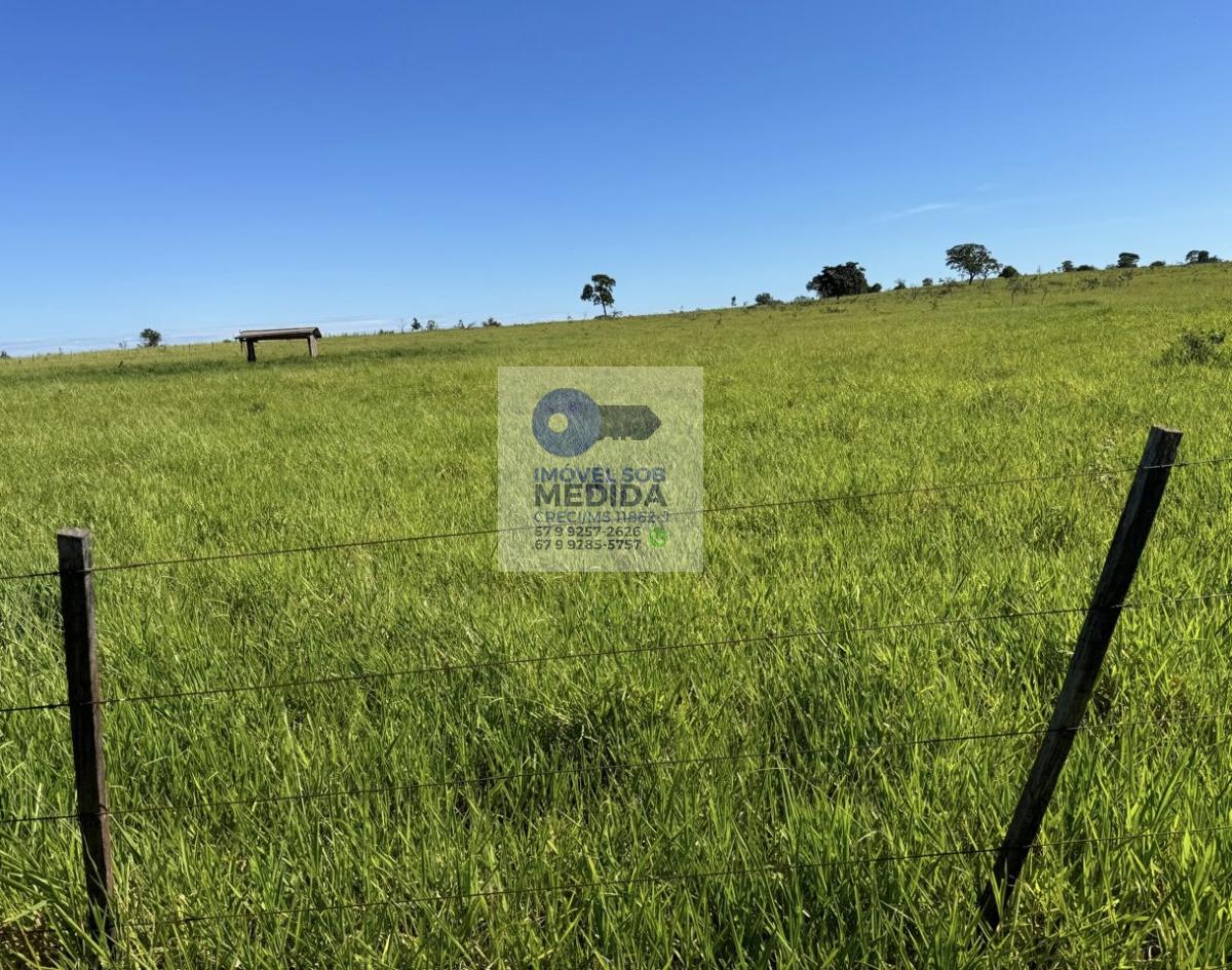 Fazenda à venda - ,Figueirão