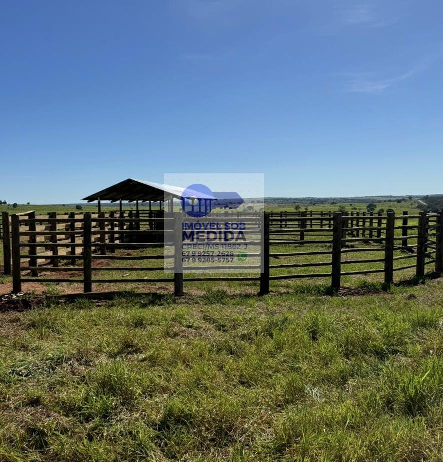  - Fazenda 561 hectares Excelente Logística e Estrutura